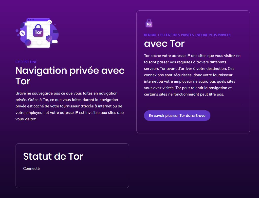brave Tor navigation privée