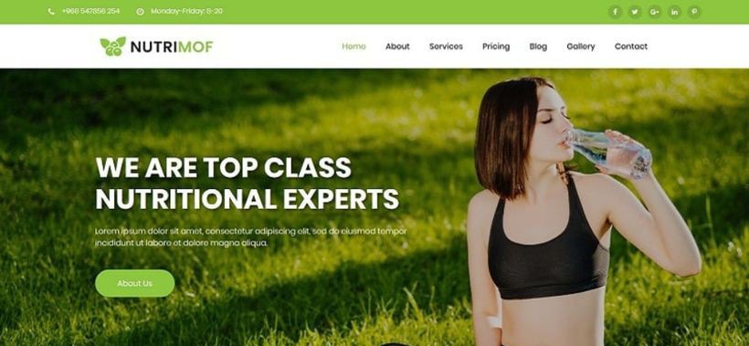 Nutrimof - Nutritional & Health Joomla 4 Template