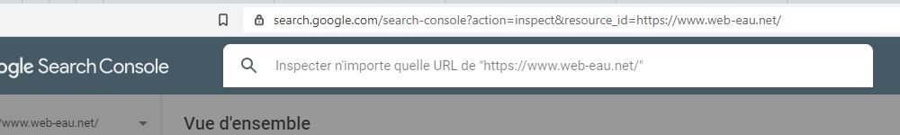 Inspection URL Search Console