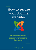 white paper: secure your website
