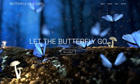 Butterfly RX Studio